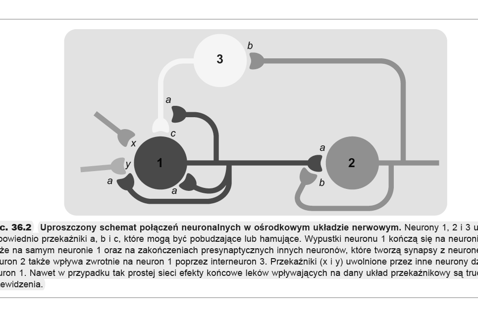 Przekaźnictwo chemiczne w OUN c.d. wolne neuroprzekaźniki i neuromodulatory (np.