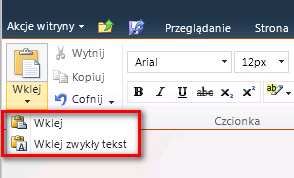 34 Dzięki temu czcionki w portalu zostaną niezmienione i zachowane zostaną zgodnie z przygotowanymi w portalu stylami.