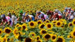 AMBIENT MEDIA Budżet: 720 867,99 ZŁ Natural Media cel: zazielenić myślenie o turystyce rowerowej Reklama w systemach wypożyczania rowerów miejskich zielone stacje rowerowe rower z naturą.