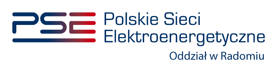 UMOWA nr... Zakup i dostawa 370 szt. nośników pamięci (pendrive) szyfrowanych dla PSE SA zawarta w dniu :.