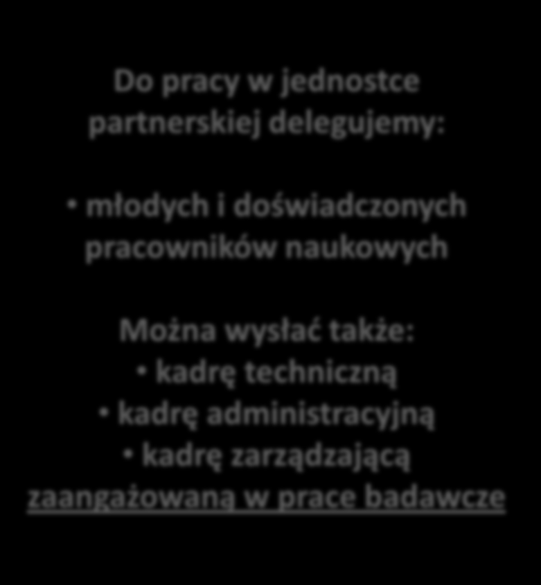 doświadczenia* młodych i doświadczonych pracowników naukowych Można wysłać także: kadrę techniczną kadrę administracyjną kadrę zarządzającą