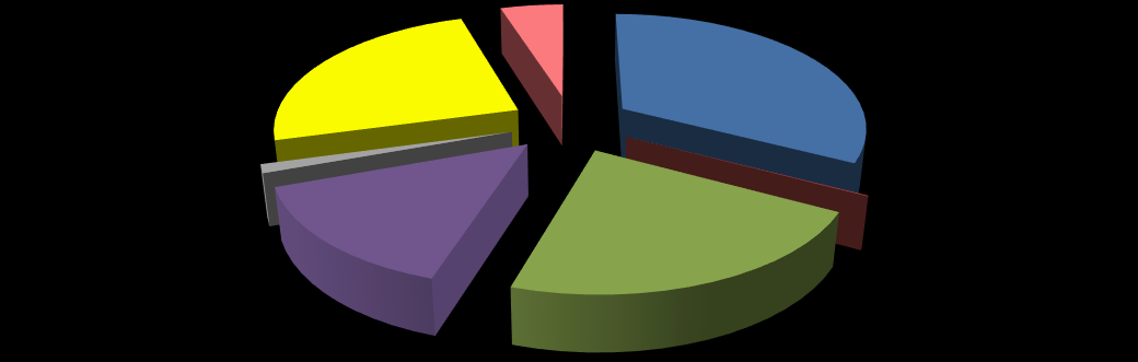 24.4% 4.9% 32.7% 1.2% 0.1% 14.7% 22.