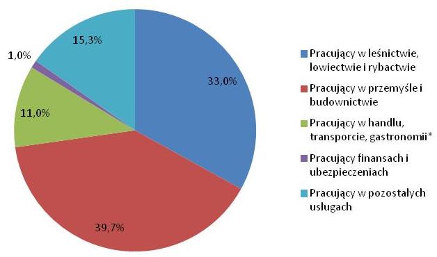 Rysunek 1.2 Podział strukturalny rynku pracy (rok 2013) Źródło: opracowanie własne na podstawie www.stat.gov.