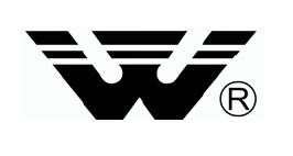 Opinia na temat oferty publicznej Spółki O Spółce, parametrach oferty oraz celach emisji Firma Wojas działa na polskim rynku od 1990 roku.