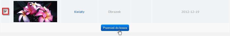 Usunięty Aby przywrócić usunięty zasób, należy: przejść do sekcji Usunięty w bloku Typy zasobów, zaznaczyć pole lub pola wyboru obok zasobów, które chcesz przywrócić i kliknąć przycisk Przywróć