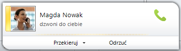 Powiadomienia W aplikacji Lync 2010 są cztery obszary pozwalające Ci organizować i przeglądać informacje o kontaktach.