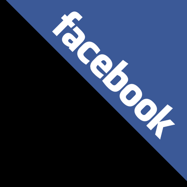 0 200 400 600 800 1000 1200 Biedronka Tesco Lidl Auchan PSS Społem Kaufland Carrefour Intermarche Popularni na FB.