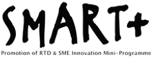 SMART+ Newsletter #9 (luty 2013) SMART+ : Wyniki z ostatnich warsztatów kapitalizacyjnych partnerów projektu 1.