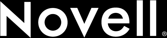 Novell GroupWise 2014 Przegląd możliwości Julita Sobczyk Dariusz Leonarski Rafał Kruschewski Dyrektor działu