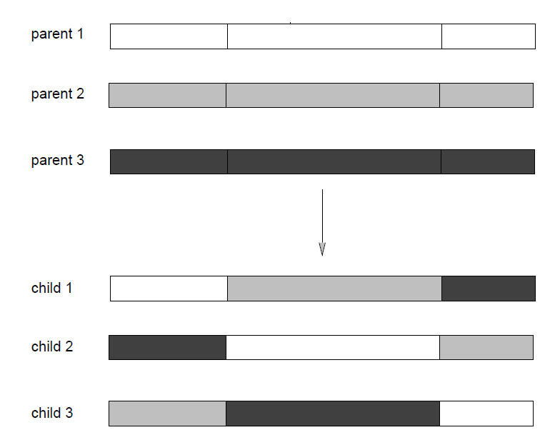 Krzyżowanie wielorodzicielskie (ang. multi-parent) 12 Mutacja jest operatorem operującym na jednym rodzicu. Krzyżowanie operuje na dwóch.