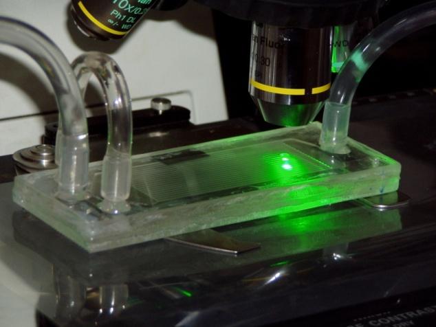 (Fluorescent Polymer Microspheres aqueous, Duke Scientific Inc.). Fotografia stanowiska pomiarowego oraz modelu kanału w trakcie eksperymentu, pokazane zostały na rysunku 6.5.