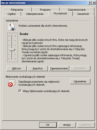 Rysunek 11 Internet Explorer 7.