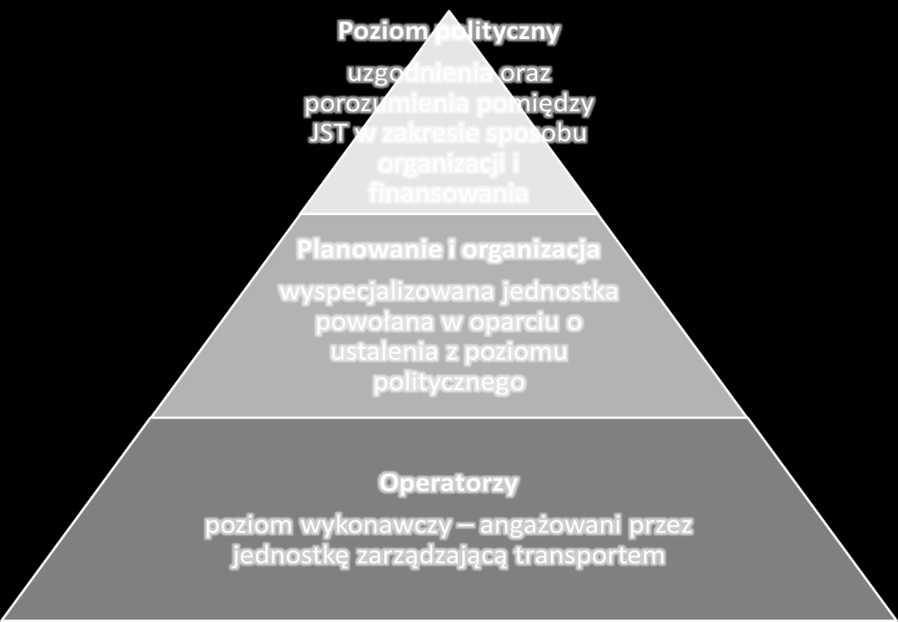 Rys. 10.2.1. Poziomy zarządzania publicznym transportem zbiorowym.