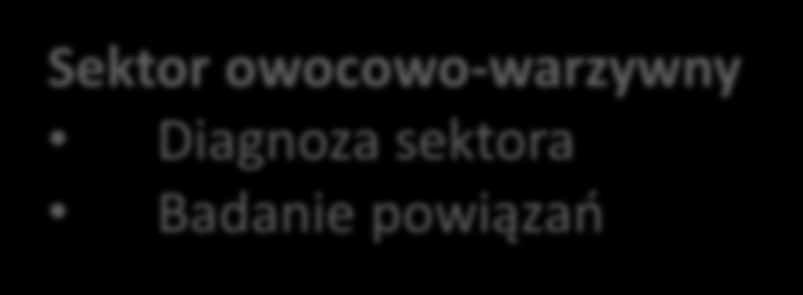 Schemat badania Diagnoza sytuacji społeczno-gospodarczej obszaru metropolitalnego Warszawy i Łodzi Analiza sektorowa