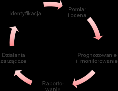 identyfikacja ryzyka polegająca na rozpoznaniu aktualnych i potencjalnych źródeł ryzyka oraz oszacowaniu istotności potencjalnego wpływu tego rodzaju ryzyka na sytuację finansową Grupy Kapitałowej.
