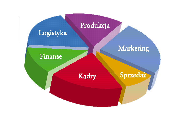 EWOLUCJA USŁUG DORADCZYCH Struktura funkcjonalna-ograniczenia Przepływ informacji; Zgodność celów; Konflikty między działami.