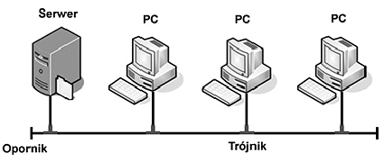 Fizyczne topologie sieci (1) Topologia sieci komputerowej (ang. network topology) - sposób fizycznego połączenia węzłów w sieci Topologia magistrali (szyny, liniowa) (ang.