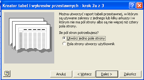 a w następnym oknie najczęściej ustawiam jeden, wspólny filtr zatwierdzając opcję Utwórz jedno pole strony: W kolejnym kroku kolejno