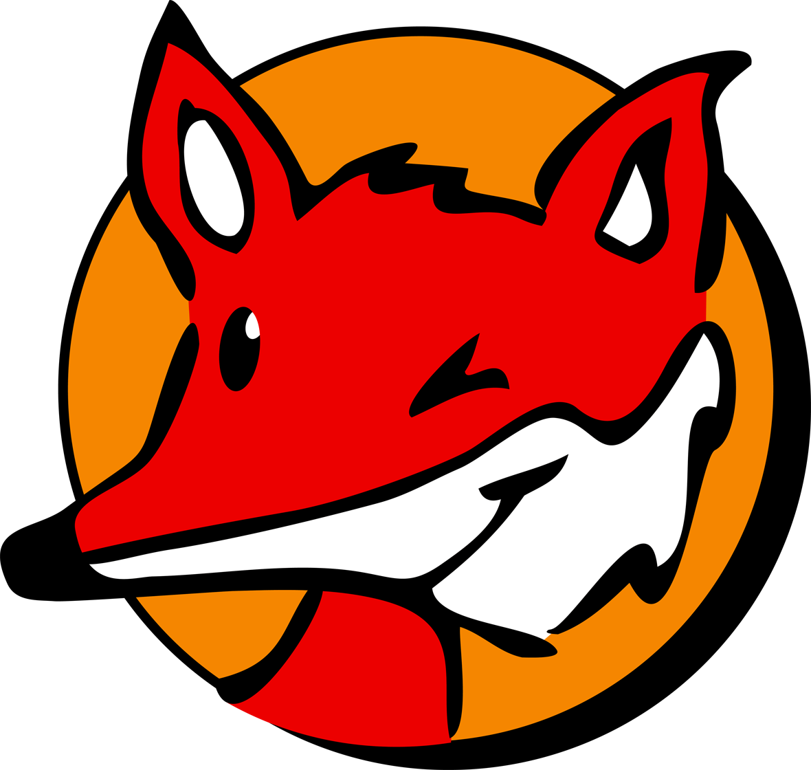 Instrukcja instalacji oprogramowania pixel-fox