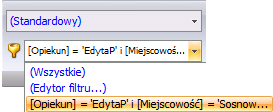 Rysunek 41 Aby zastosować aktualnie tworzony filtr i dokonywać dalszej edycji należy nacisnąć przycisk [Zastosuj].