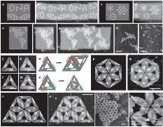 fullerene wheels and the underlying gold. Flat gold surface was used to prevent the nanocar actually roll around on its fullerene wheels, rather than slip like a car on ice.