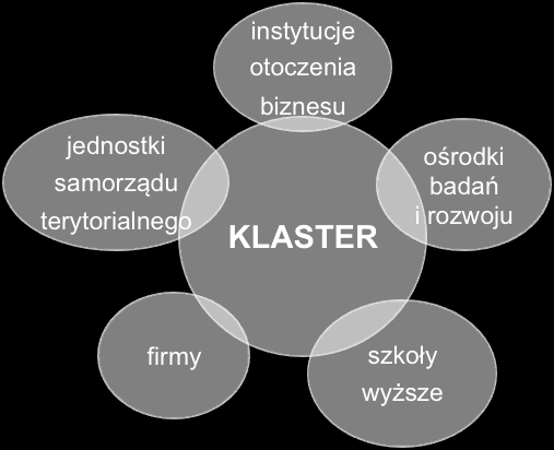 badawcz-rzwjwych, instytucji finanswych, stwarzyszeń branżwych i śrdków wspierania biznesu), które współpracują w pewnych dziedzinach, ale jedncześnie ciągle knkurują ze sbą na rynku.