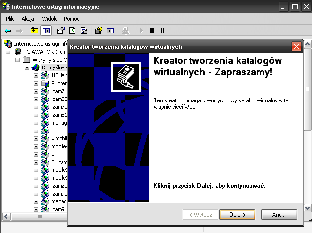 Rysunek 16.1 Internetowe usługi informacyjne. Wykonanie tych czynności spowoduje uruchomienie Kreatora tworzenia katalogów wirtualnych.