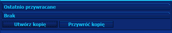 1.2.5 Hasła dostępu W zakładce tej należy wprowadzić hasła dla pierwszego i drugiego poziomu dostępu.