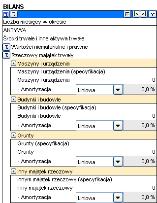 Podczas wykonywania obliczeń w oparciu o bieżący bilans, wprowadź saldo otwarcia wartości niematerialnych i prawnych (w odpowiedniej kategorii) w ostatniej uwzględnionej kolumnie historycznej oraz