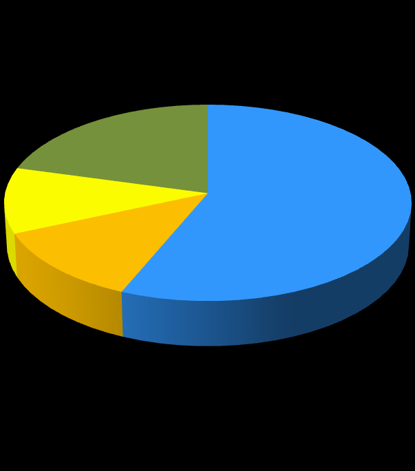 STRUKTURA AKCJONARIATU Udział w kapitale zakładowym (%) Udział w ogólnej liczbie głosów na WZ (%) 26.09% 20.74% 14.51% 11.