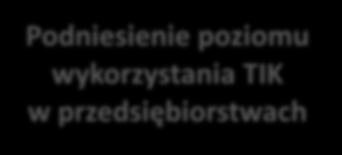 Działania z obszaru e-biznes Rozwój kompetencji sprzyjających rozwojowi e-biznesu Modernizacja oferty programowej szkół wyższych i ponadgimnazjalnych na potrzeby e-biznesu Uruchomienie nowych