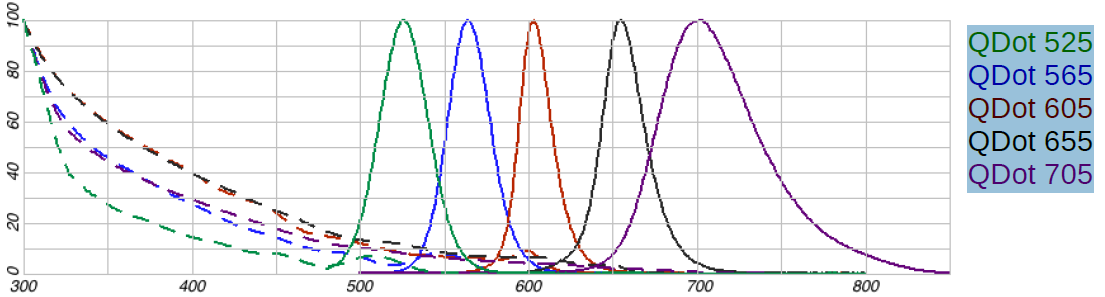 quantum dots - QD) są to półprzewodnikowe nanokryształy o wielkości od 2-10 nm.