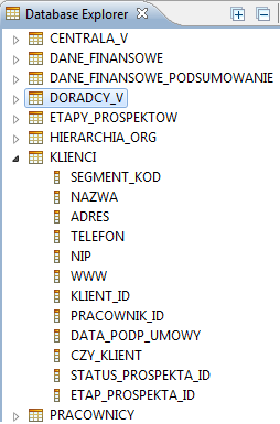 ROZDZIAŁ 4. DESIGNER 68 Rysunek 4.11: Widok Database Explorer atrybutów z listy. Druga opcja z menu służy do edytowania elementów.
