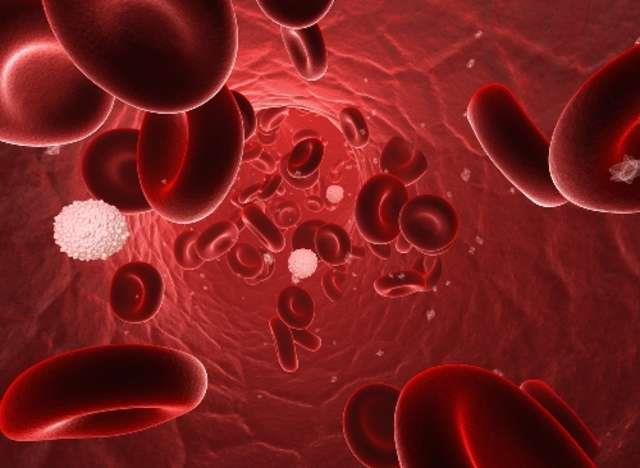 objętość krwinki czerwonej średnie stężenie hemoglobiny w