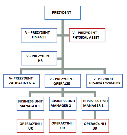 WPROWADZENIE Physical Asset Management można podzielić na dwie funkcje: strategia i