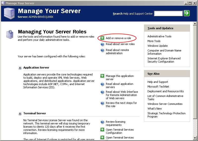 Dodanie roli za pomocą narzędzia Manage Your Server Wybór roli Application