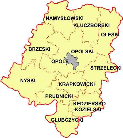 Analiza danych przedstawionych na rys.2 wskazuje na odstępstwa od prognozowanych celów.