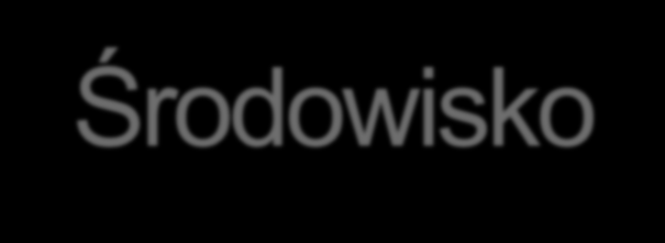 Wymagania wstępne Środowisko Active Directory Windows Server 2003 SP2 Global Catalog w każdym site z Exchange 2010 Poziom funkcjonalny lasu Windows Server