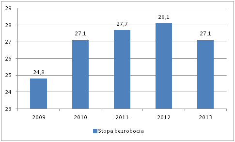 W dniu 31 grudnia 2013 r. stopa bezrobocia w powiecie grudziądzkim kształtowała się na poziomie 27,1%.