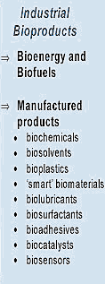 The Business of Bioproducts Projekt UDA-POKL.04.01.