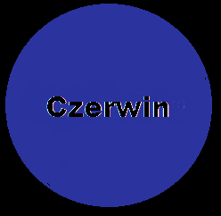 W 2012 roku na terenie powiatu funkcjonowało 25 niepublicznych przychodni.