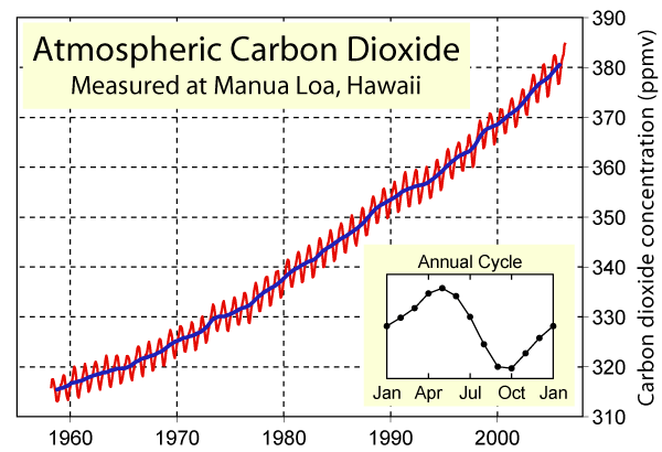 Wzrost CO2 : wynik naszych starań Koncentracja CO2 mierzona na Mauna Loa (Hawaje) 1958-2006