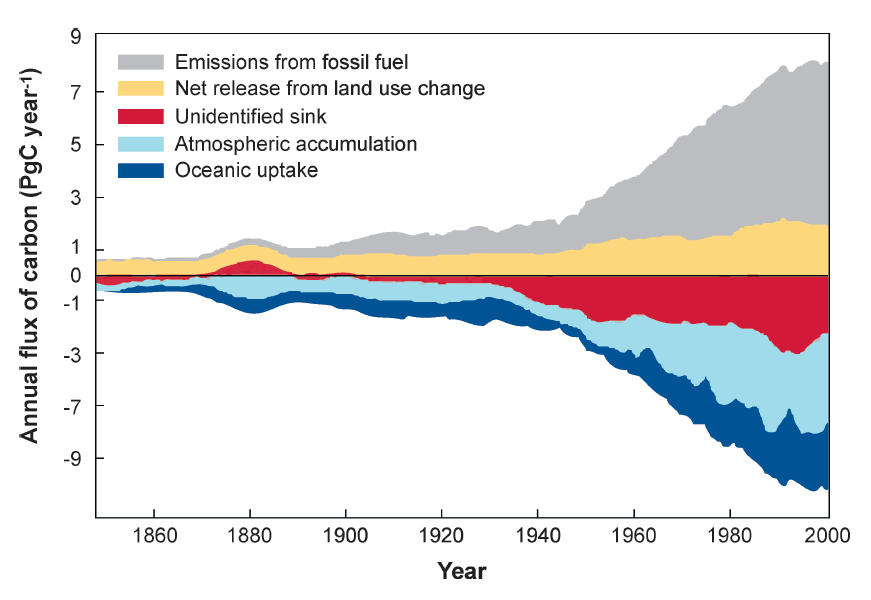 Gdzie się podziewa ten węgiel? Tylko część wyprodukowanego przez nas CO2 pozostaje w atmosferze.
