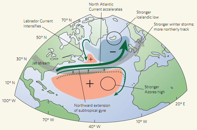Ciekawostka: wpływ NAO na wymianę CO2 z oceanem Rysunek pokazuje wpływ dodatniego NAO na zmianę cyrkulacji atmosferycznej (zielone strzałki)