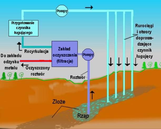 Ługowanie i bioługowanie in situ (w złożu)