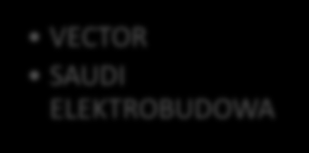 Schemat organizacyjny Walne Zgromadzenie Rada Nadzorcza Zarząd Spółki Prezes Zarządu, Dyrektor Spółki Spółki stowarzyszone VECTOR SAUDI ELEKTROBUDOWA Biuro Zarządu Zarządzanie Systemami Zarządzanie