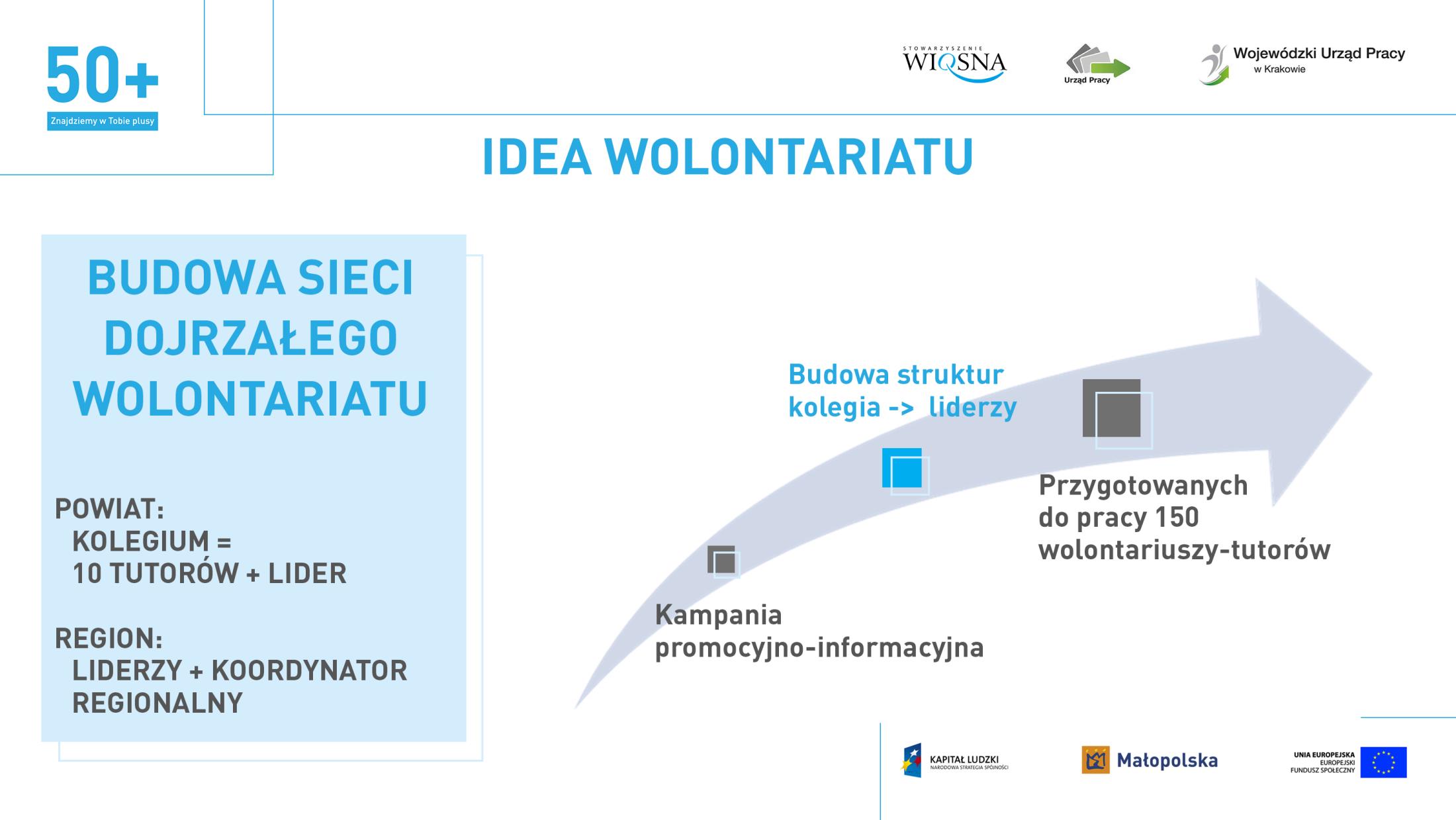 Dojrzały wolontariat Budowa sieci dojrzałego wolontariatu (powiat: kolegium = 10 tutorów + lider region: liderzy + koordynator regionalny Kampania