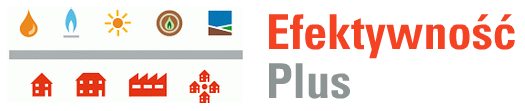 Efekty projektu w