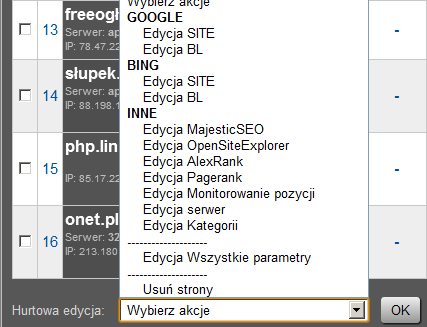 Hurtowa edycja parametrów: Nie wiem za bardzo co tu opisywać hurtowa edycja umożliwia zmianę danych dla zaznaczonych stron w zestawieniu.