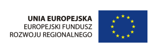 INSTRUMENTY WSPARCIA FUNDUSZY PORĘCZENIOWYCH I POŻYCZKOWYCH W POLSCE WSCHODNIEJ realizowanego ze środków Programu Operacyjnego Rozwój Polski Wschodniej 2007-2013, działanie I.